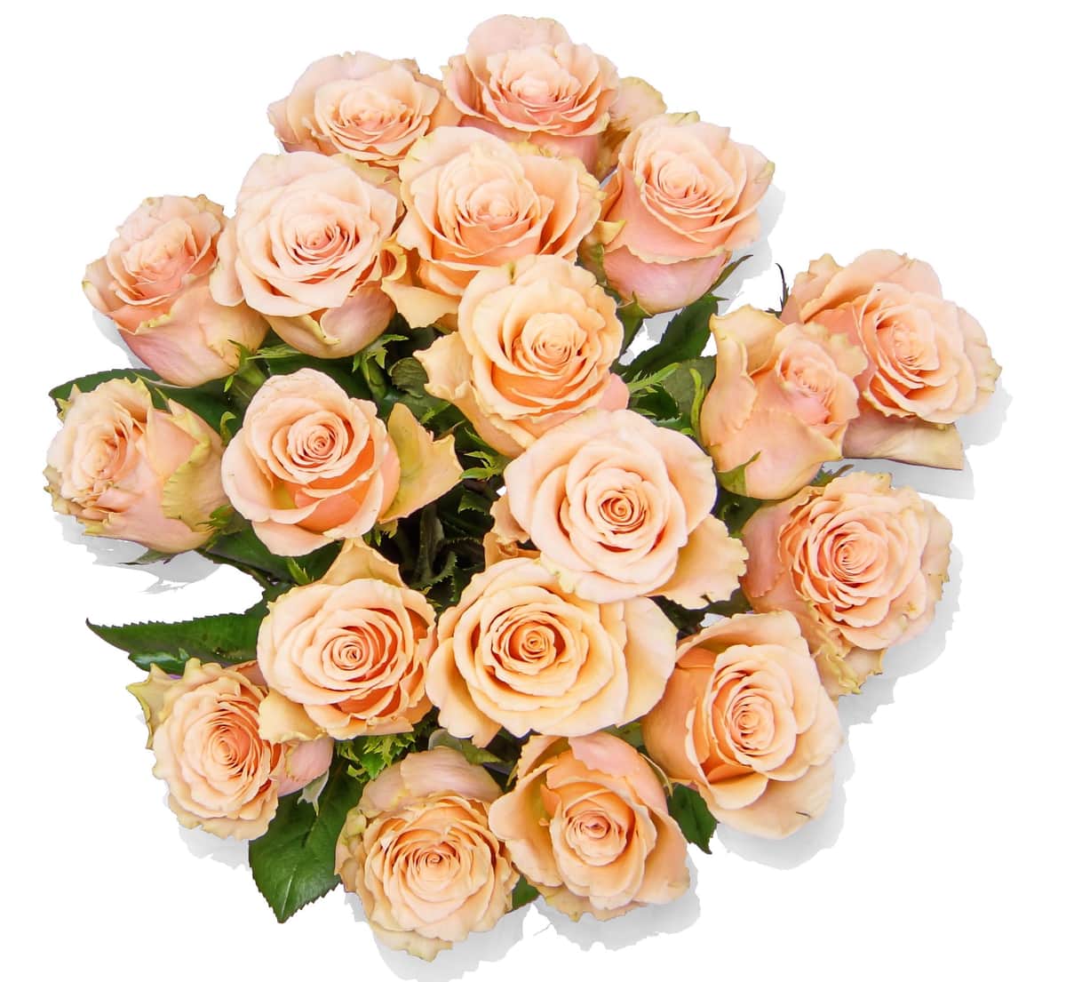 Jill – Rosenstrauß in Creme & Apricot – frisch gebundener Blumenstrauß