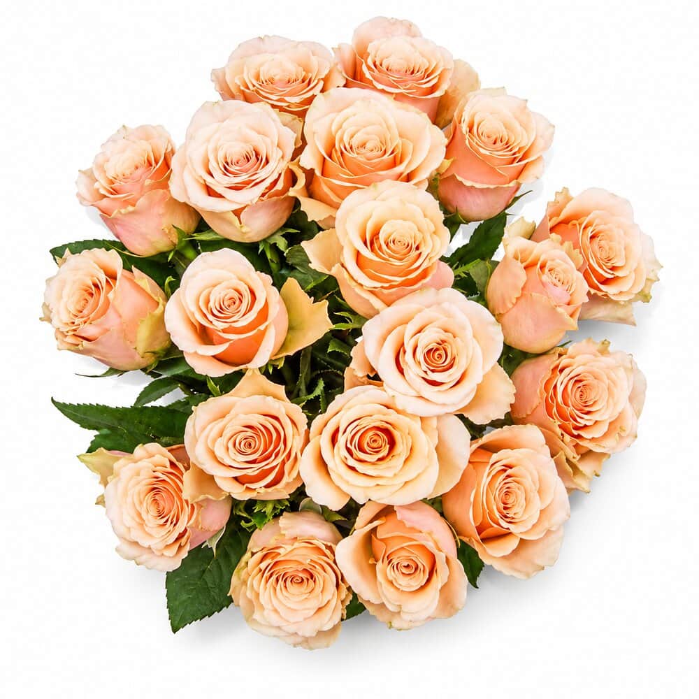 Jill – Rosenstrauß in Creme & Apricot – frisch gebundener Blumenstrauß