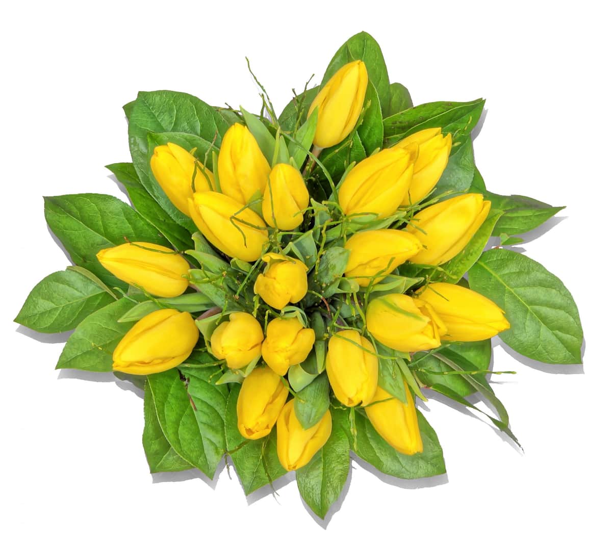 Josy – Gelbe Tulpen – frisch gebundener Blumenstrauß