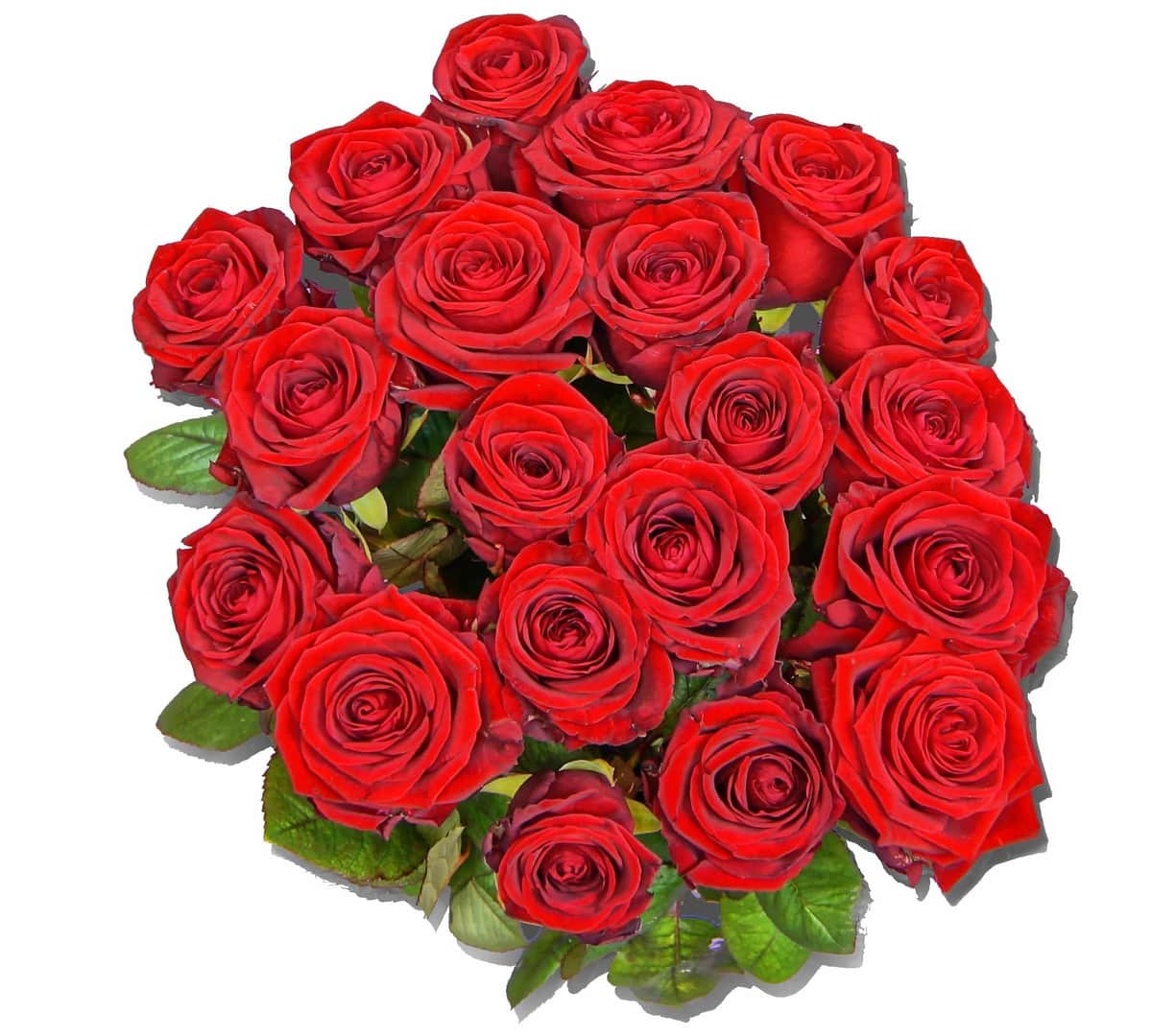 Blumenstrauß Nomi – Rote Rosen klassisch – frisch vom Münchner Floristen