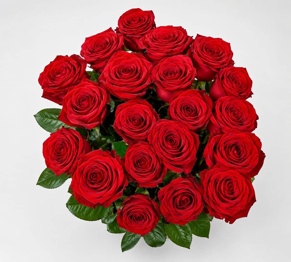 Blumenstrauß Nomi – Rote Rosen klassisch – frisch vom Münchner Floristen